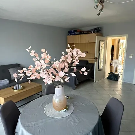 Zaynsroom *